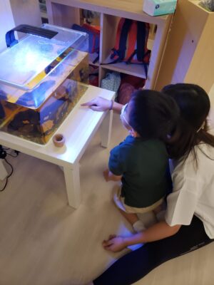 導師教小孩學習